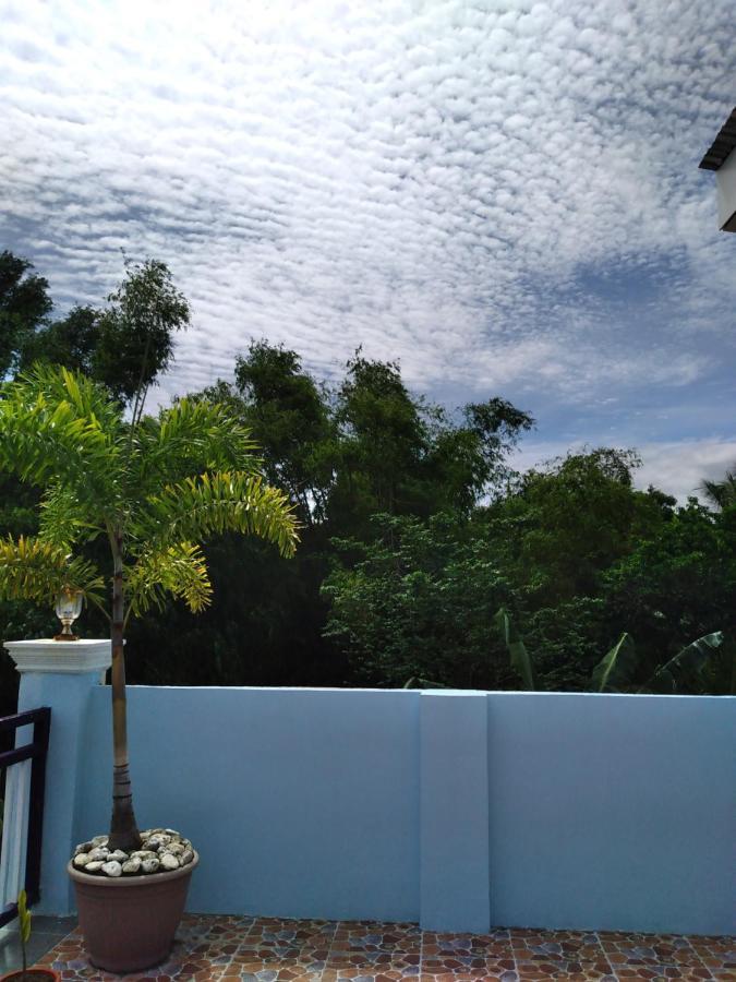Azulea Lodging House Oslob Bagian luar foto